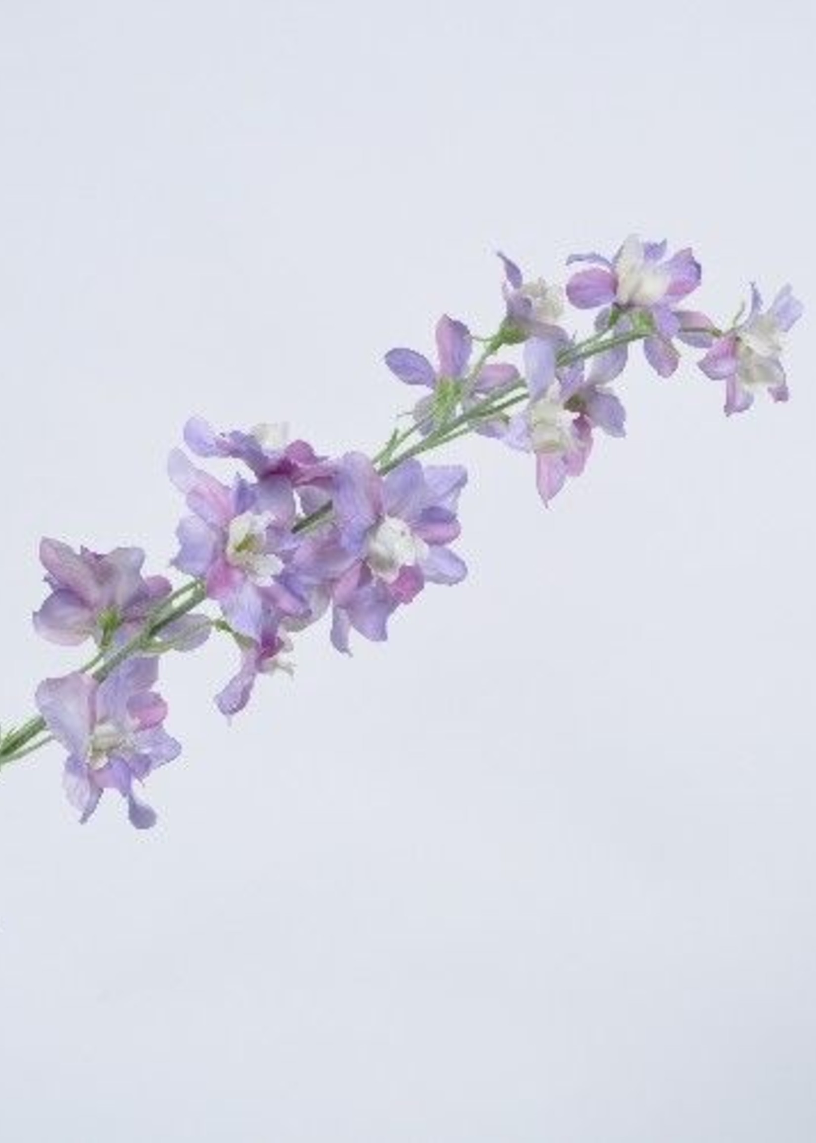 Silk-ka Delphinium Tak Mauve  79 cm