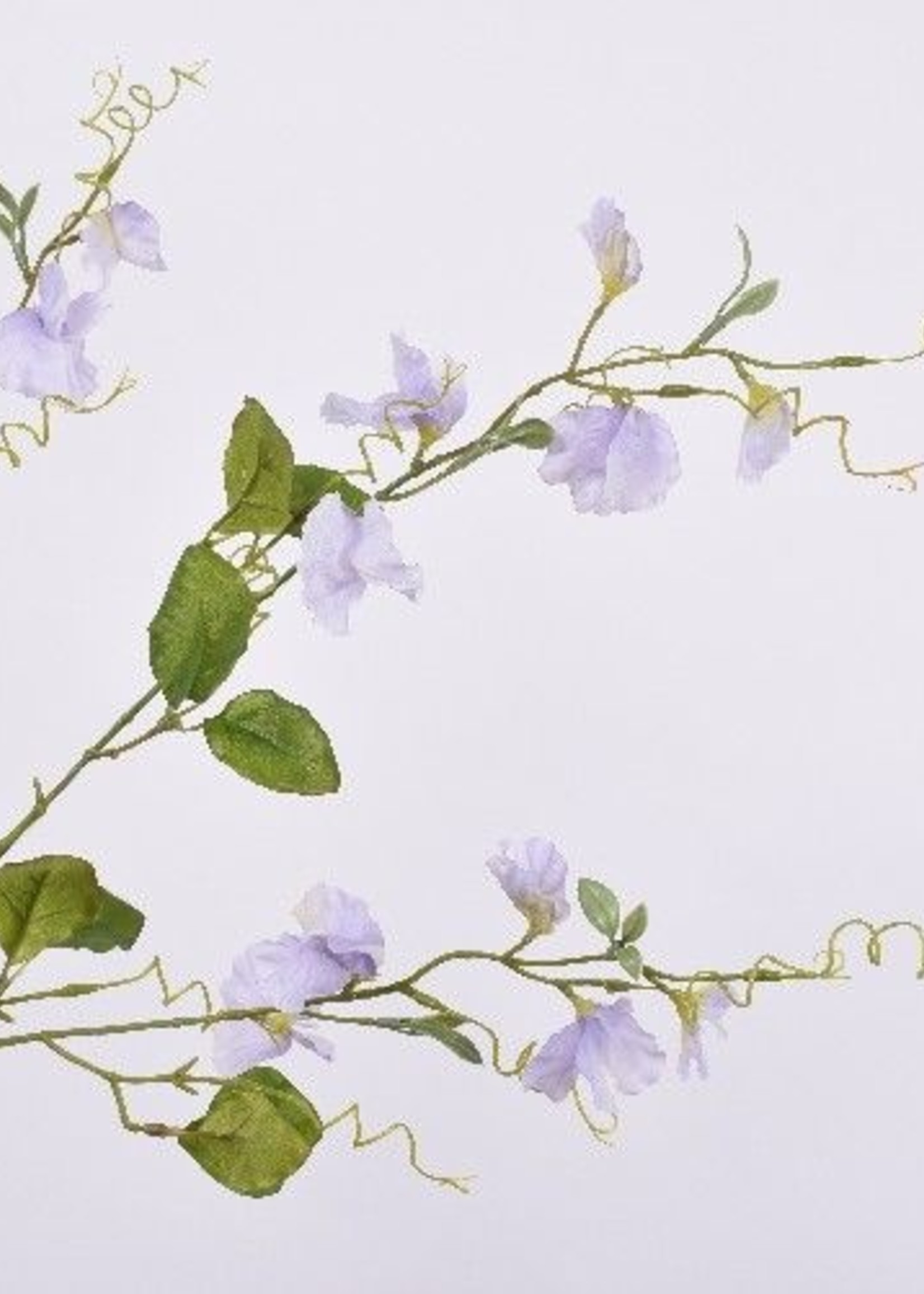 Silk-ka Lathyrus Lavendel   104 cm