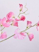 Silk-ka Lathyrus Tak  Roze     100 cm