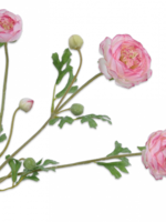 Silk-ka Ranonkel Tak  roze  66 cm     per 2