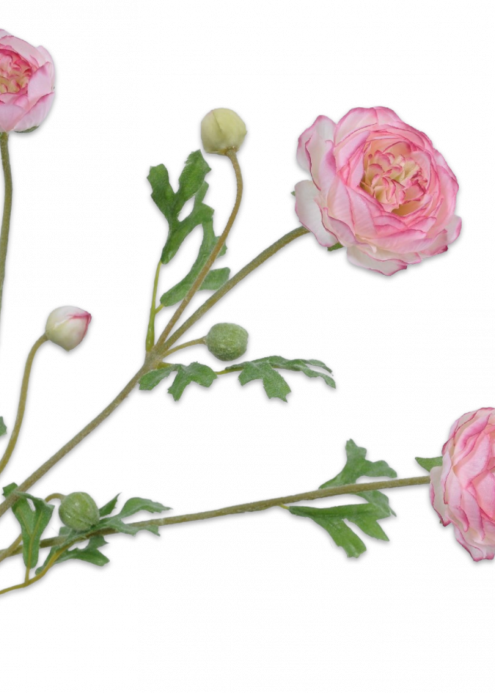 Silk-ka Ranonkel Tak  roze  66 cm