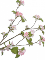 Bloesem Tak Roze  Lt   126 cm