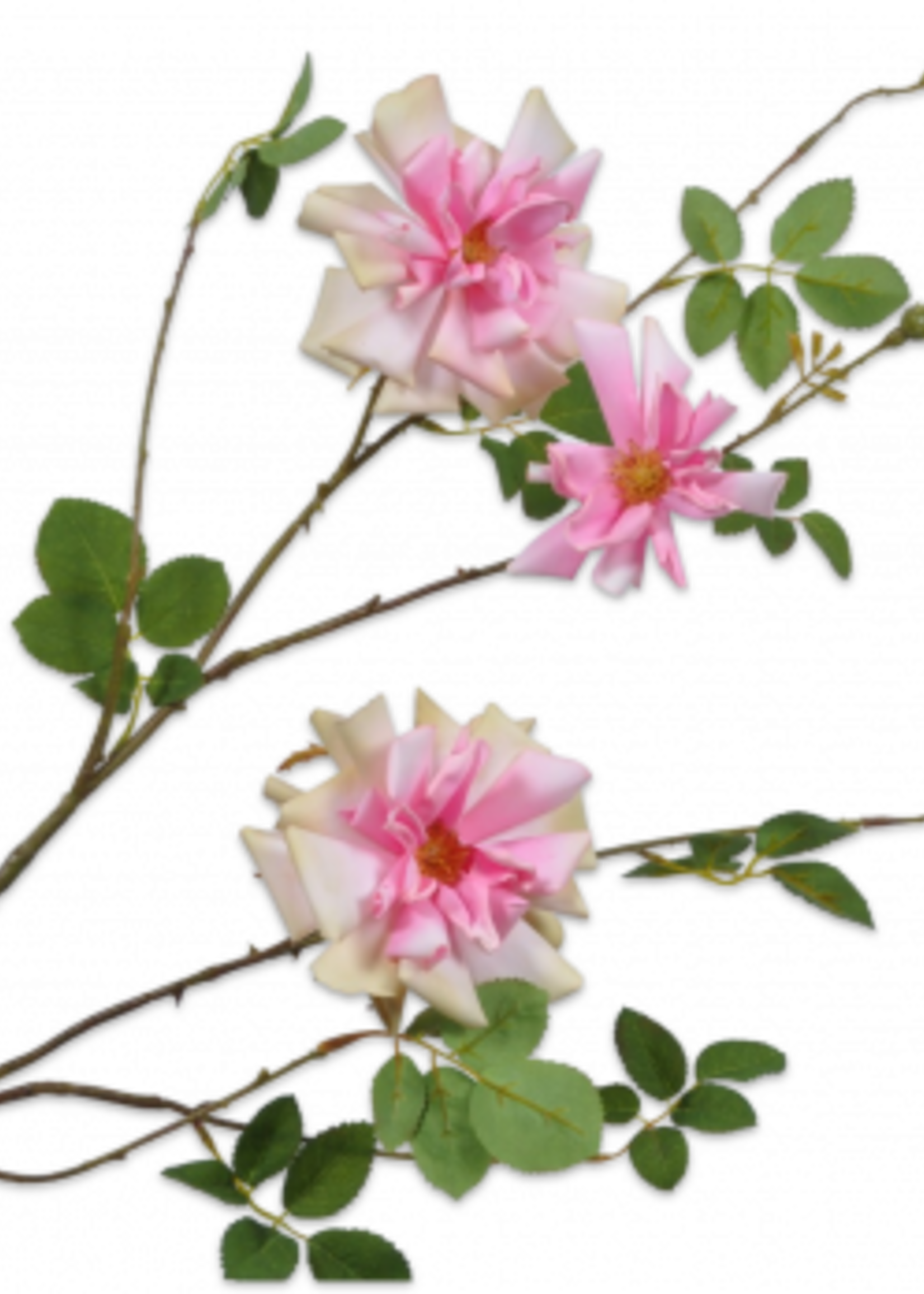 Silk-ka Roos Tak Roze Lt.  116 cm