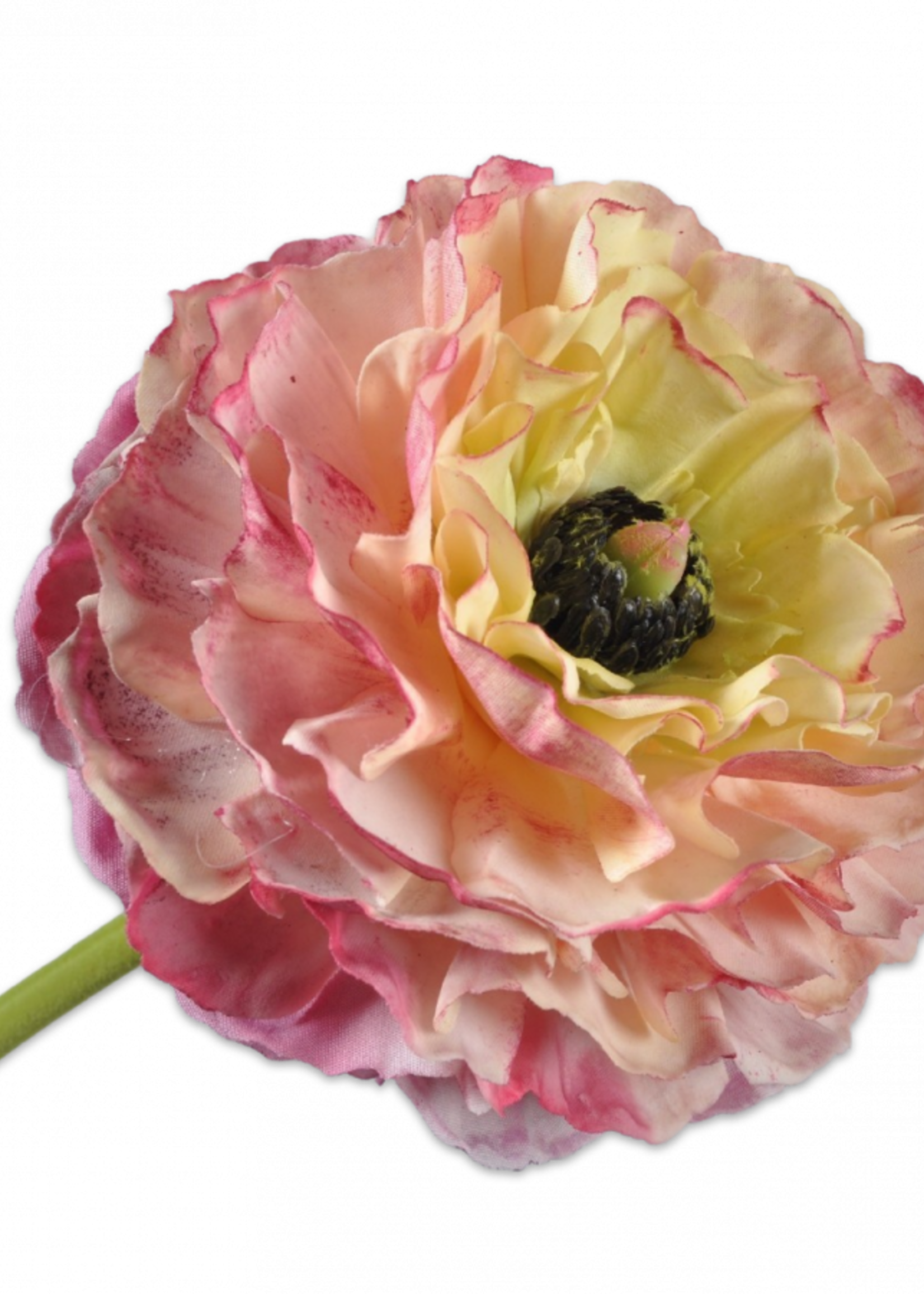 Ranonkel Tak Mve/Grn   63 cm