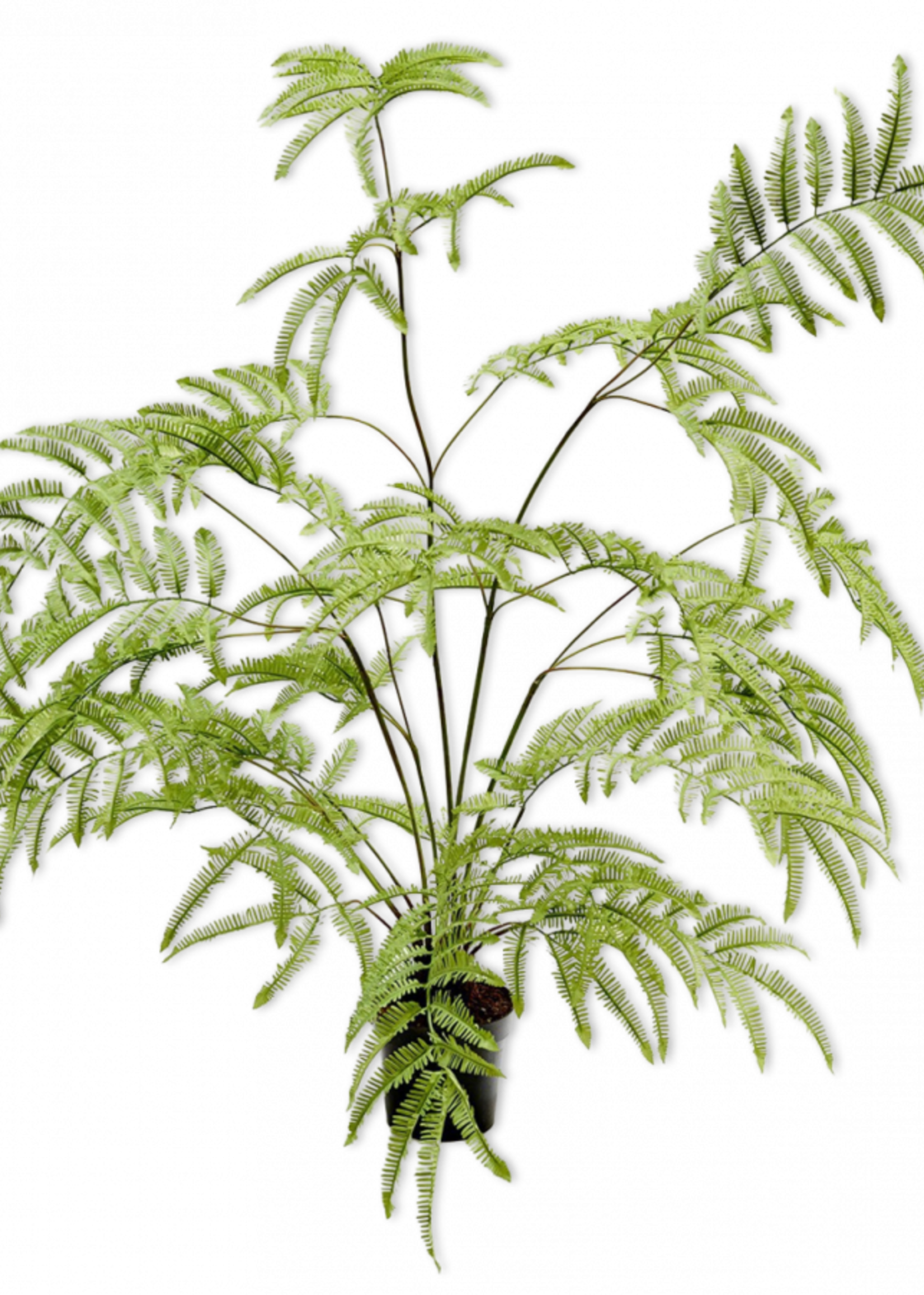 Silk-ka Varen plant  Groen 150 cm
