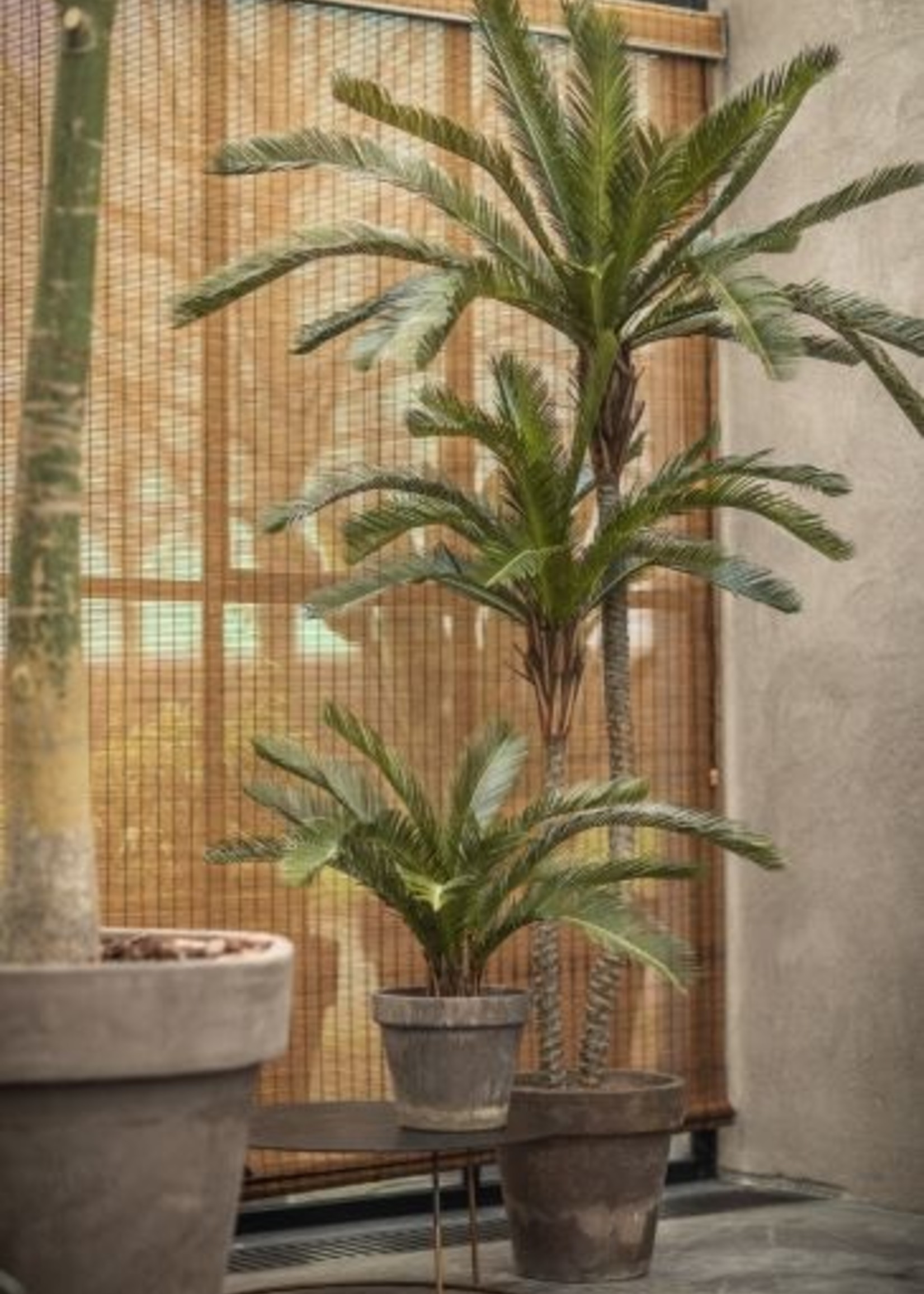 Silk-ka Palm Groen 180 cm 2 stammen