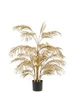 Gouden Areca Palm 105  cm