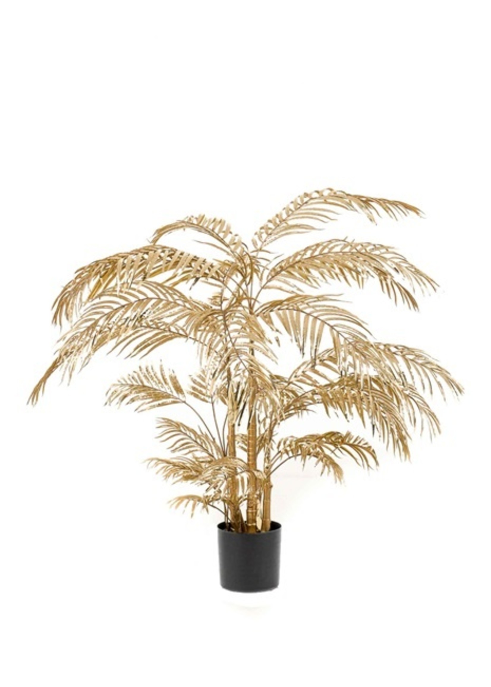 Gouden Areca Palm 105  cm