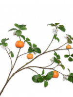 Silk-ka Sinaasappeltak met 5 orange & Bloesem  124cm