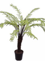 Varenplant 152 cm H