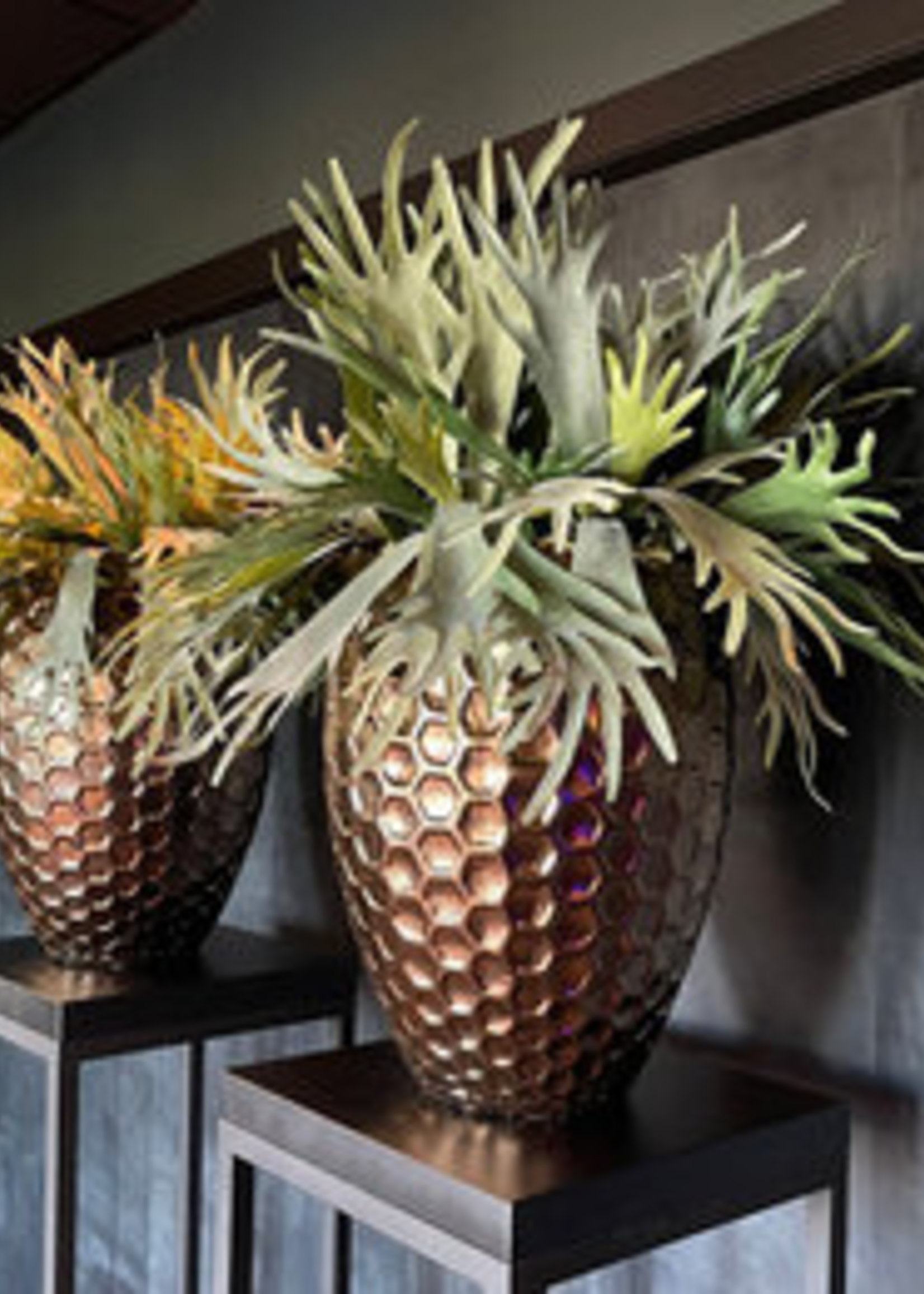 Pot & Vaas Pot Honey Goud D54 H65