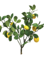 Citroentak  met 7 kunstcitroenen  H60