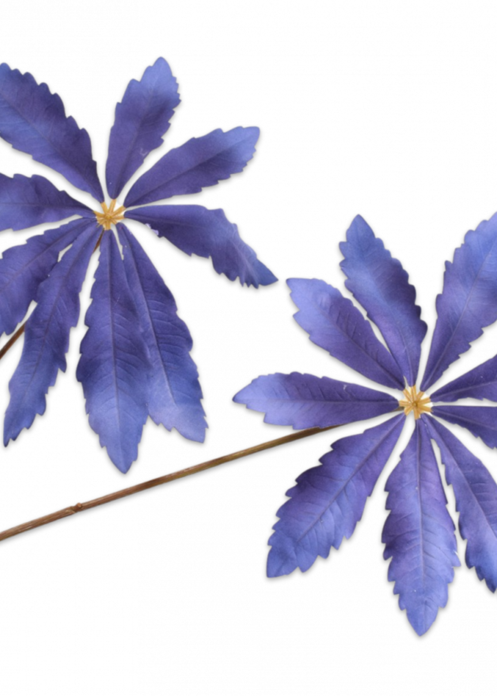 Silk-ka Bladtak Blauw  Fluweel 97 cm