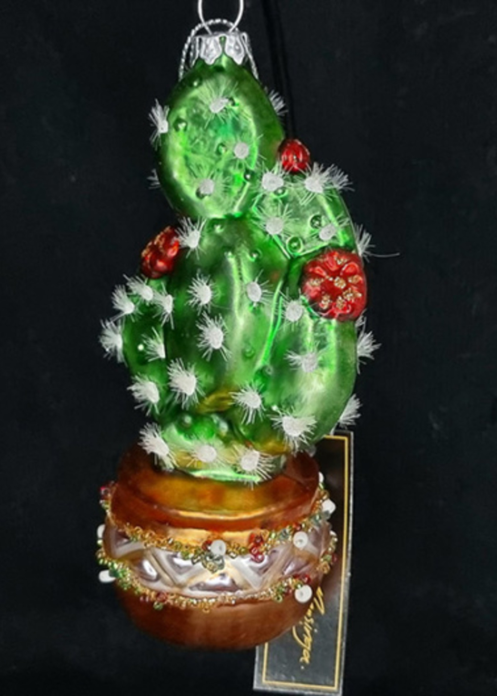 Kersthanger Cactus