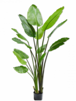 Silk-ka Kunstplant  Strelitzia  183 cm