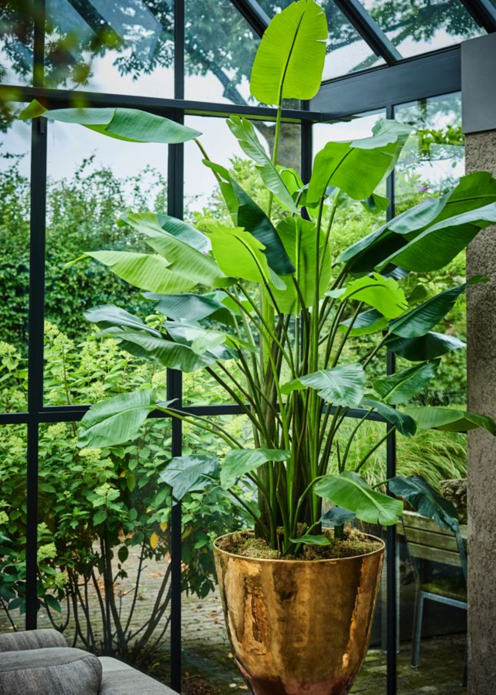 Silk-ka Kunstplant  Strelitzia 183 cm