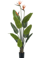 Kunstplant   Strelitzia  Reginae    120cm