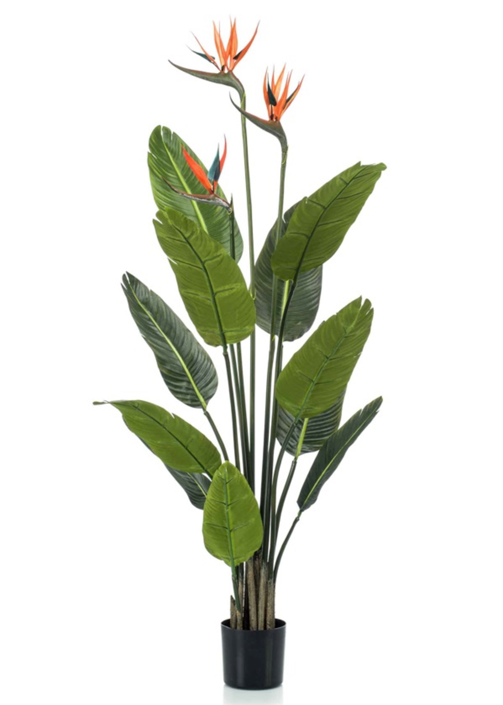 Kunstplant  Strelitzia Reginae  120cm