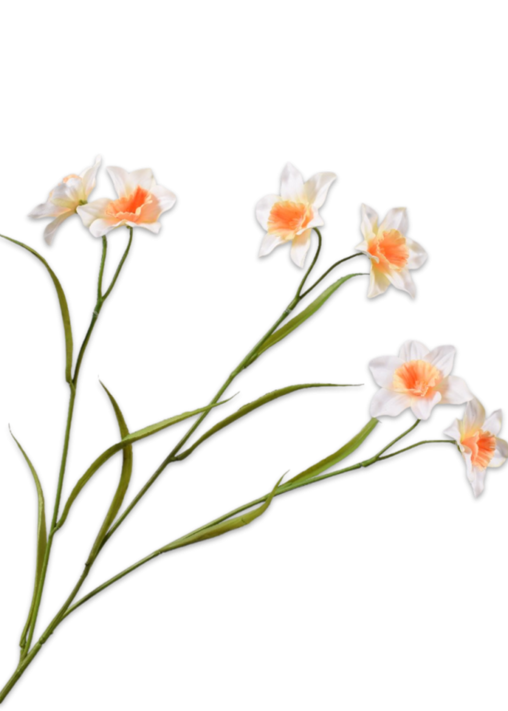 Silk-ka 2 x   Narcis Takken   Geel lt.   (12 bloemen)