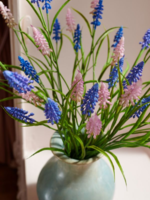 2 x roze en blauwe  Druif takken