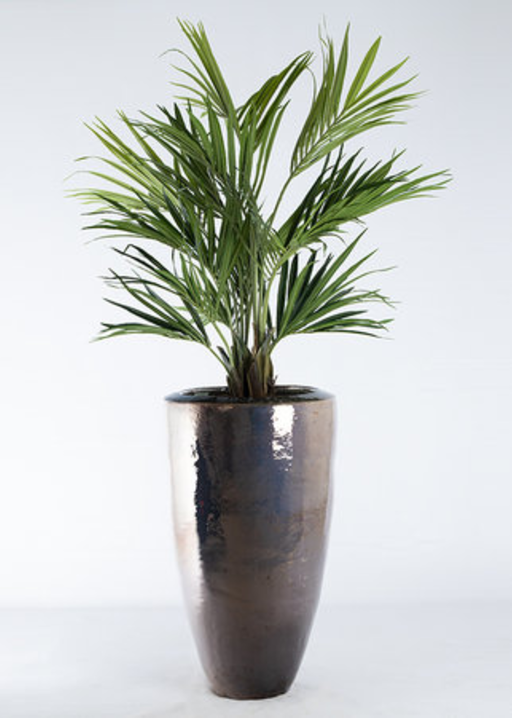 Pot & Vaas Metaalglans Pot Klaas H 95 cm