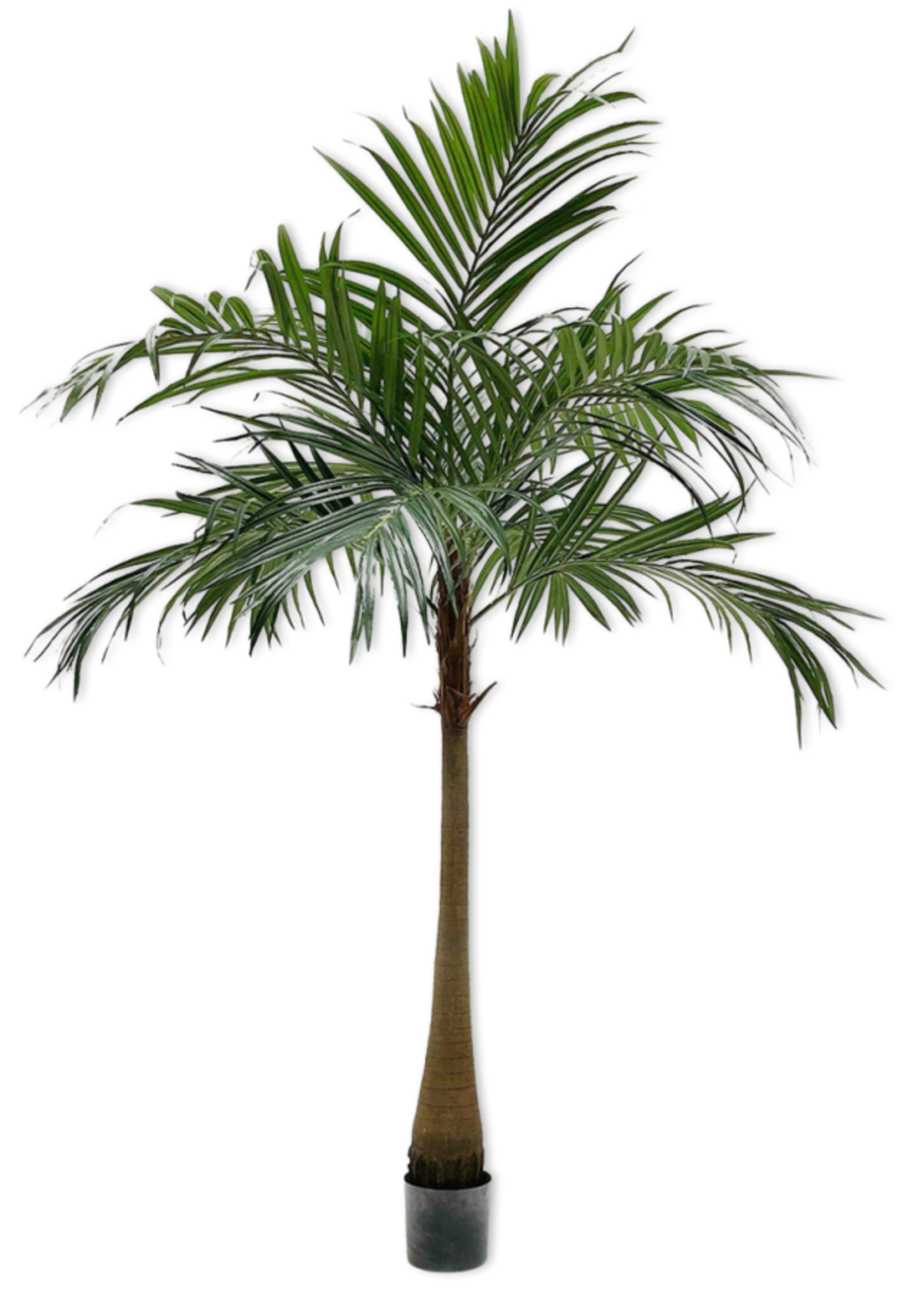 Palm Groen  190 cm