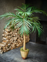 Palm Groen  190 cm
