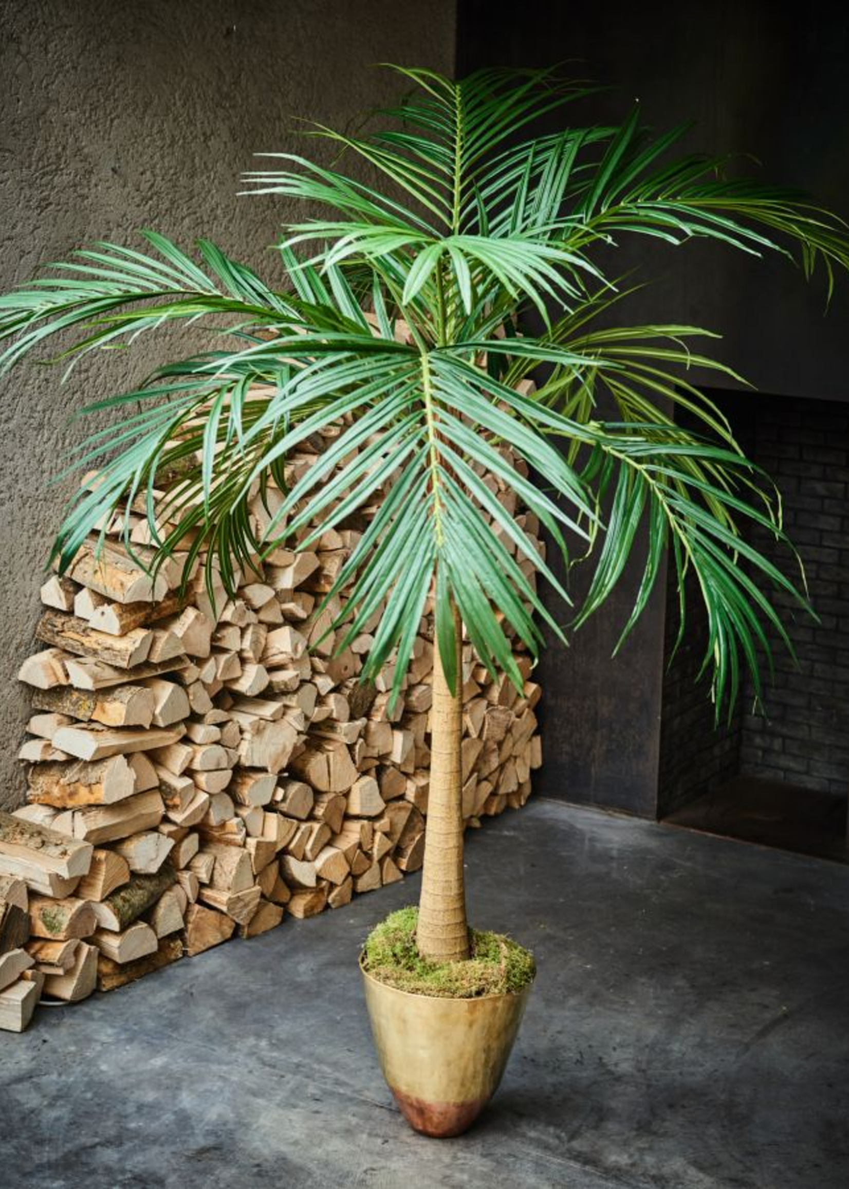 Palm Groen  190 cm