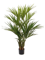 Pot & Vaas Palm Kentia de Luxe  H 140 cm