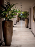 Pot & Vaas Pot Klaas in Koperkleur  H 120 cm