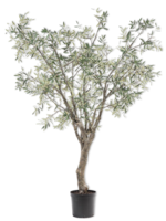 Silk-ka Olijfboom Groen 244 cm