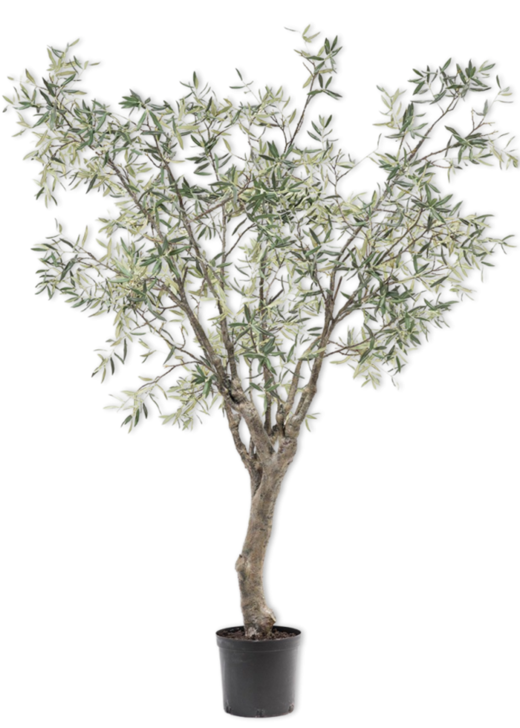 Silk-ka Olijfboom Groen 244 cm