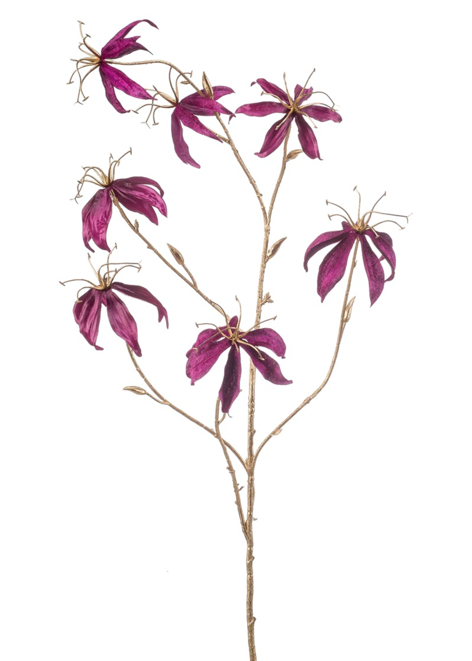Gloriosa tak purple-gold   104 cm