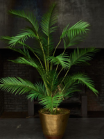 Palm Groen  183 cm