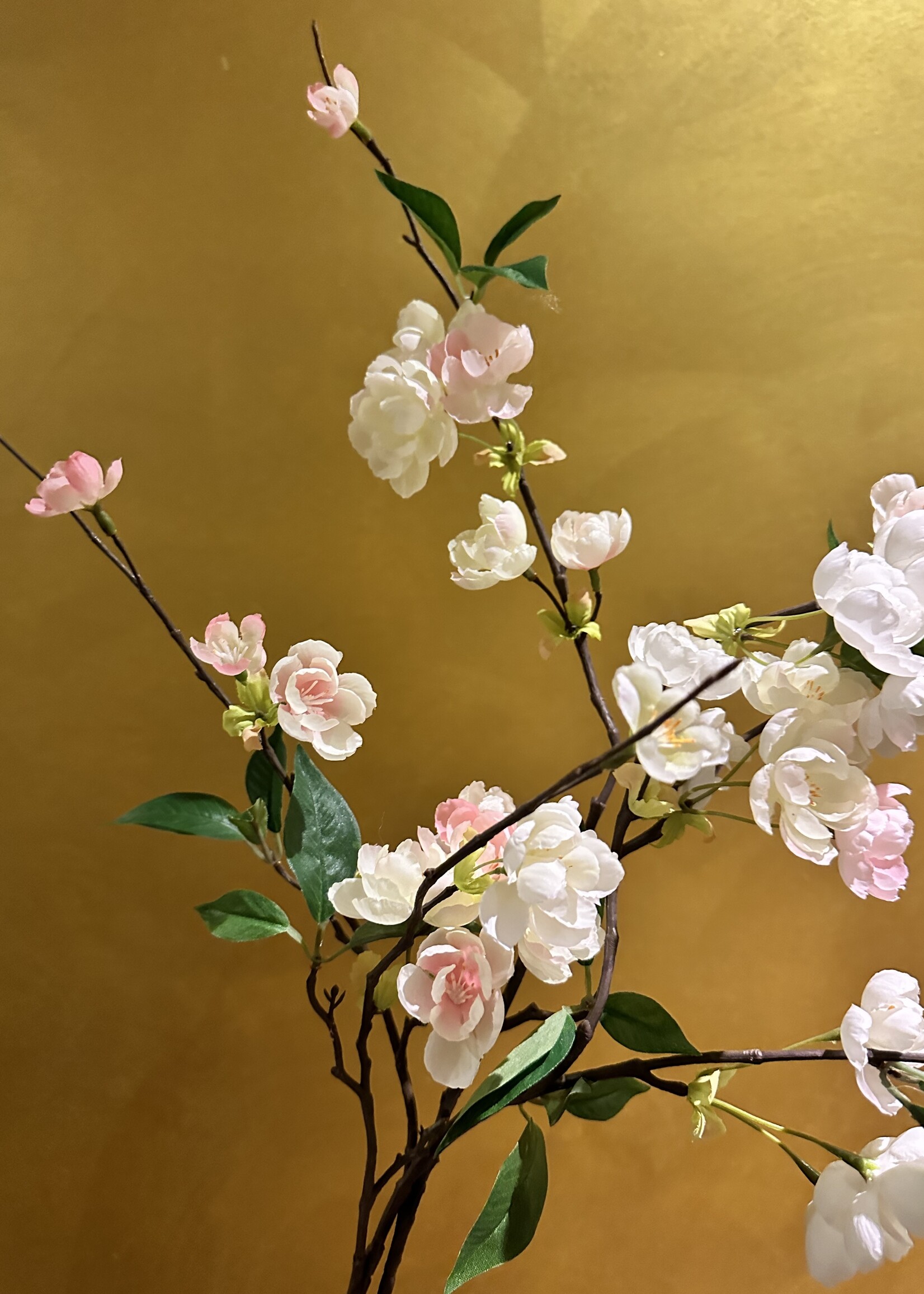 kleine zachtrose  bloesem met blad