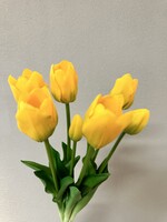 Trosje Tulpen van 7 in de kleur Geel