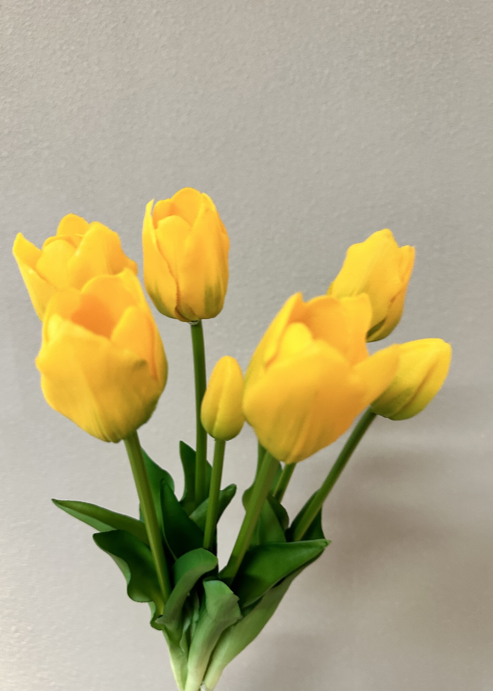 Bosje Tulpen in de kleur Geel