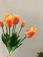 Tulpen bosje in de  Papegaai kleur