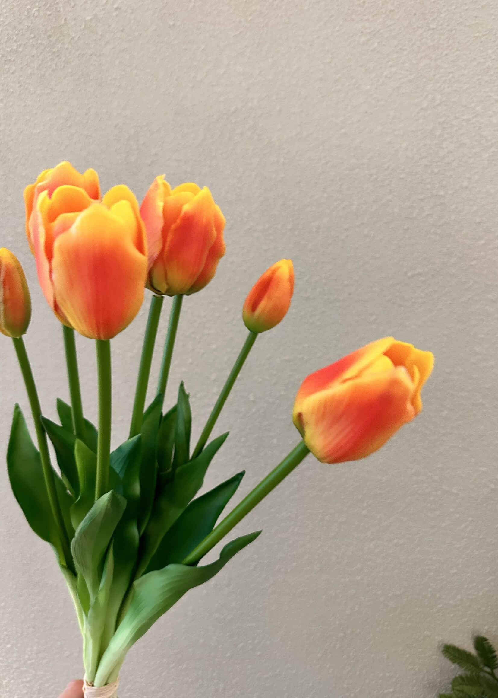Tulpen boeket in rood-geel
