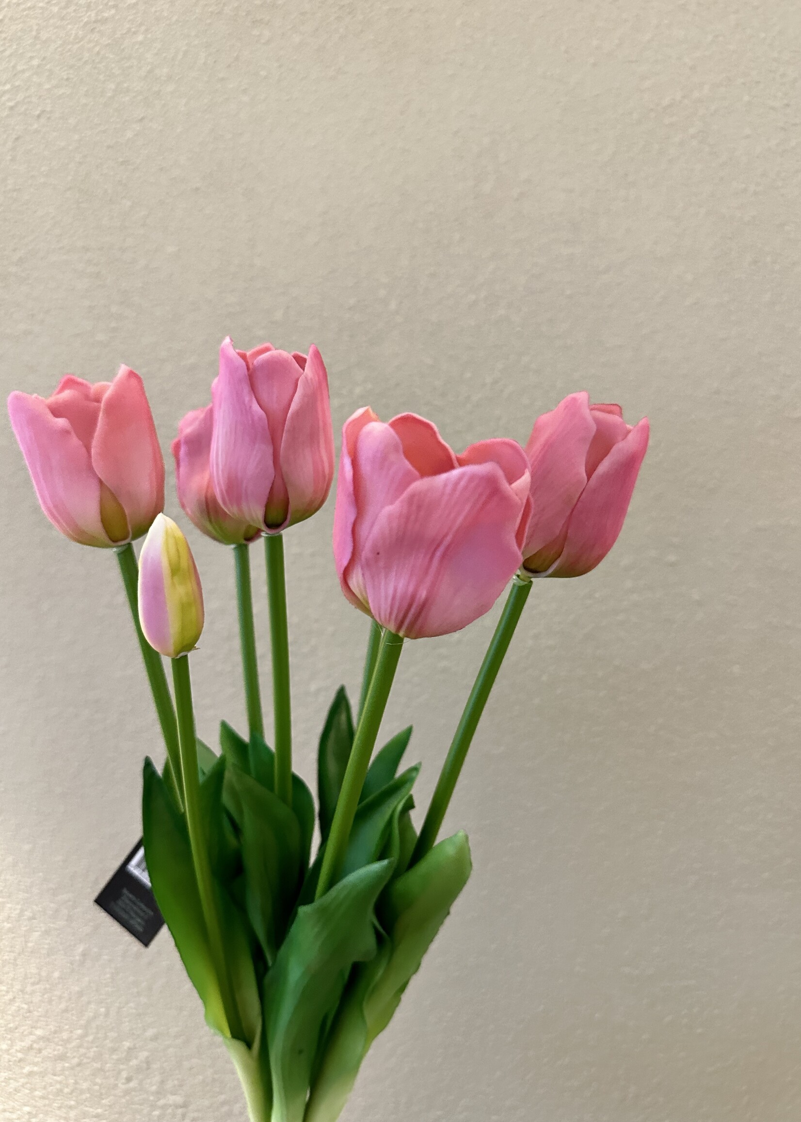 Tulpen bosje van 7 in de kleur Roze