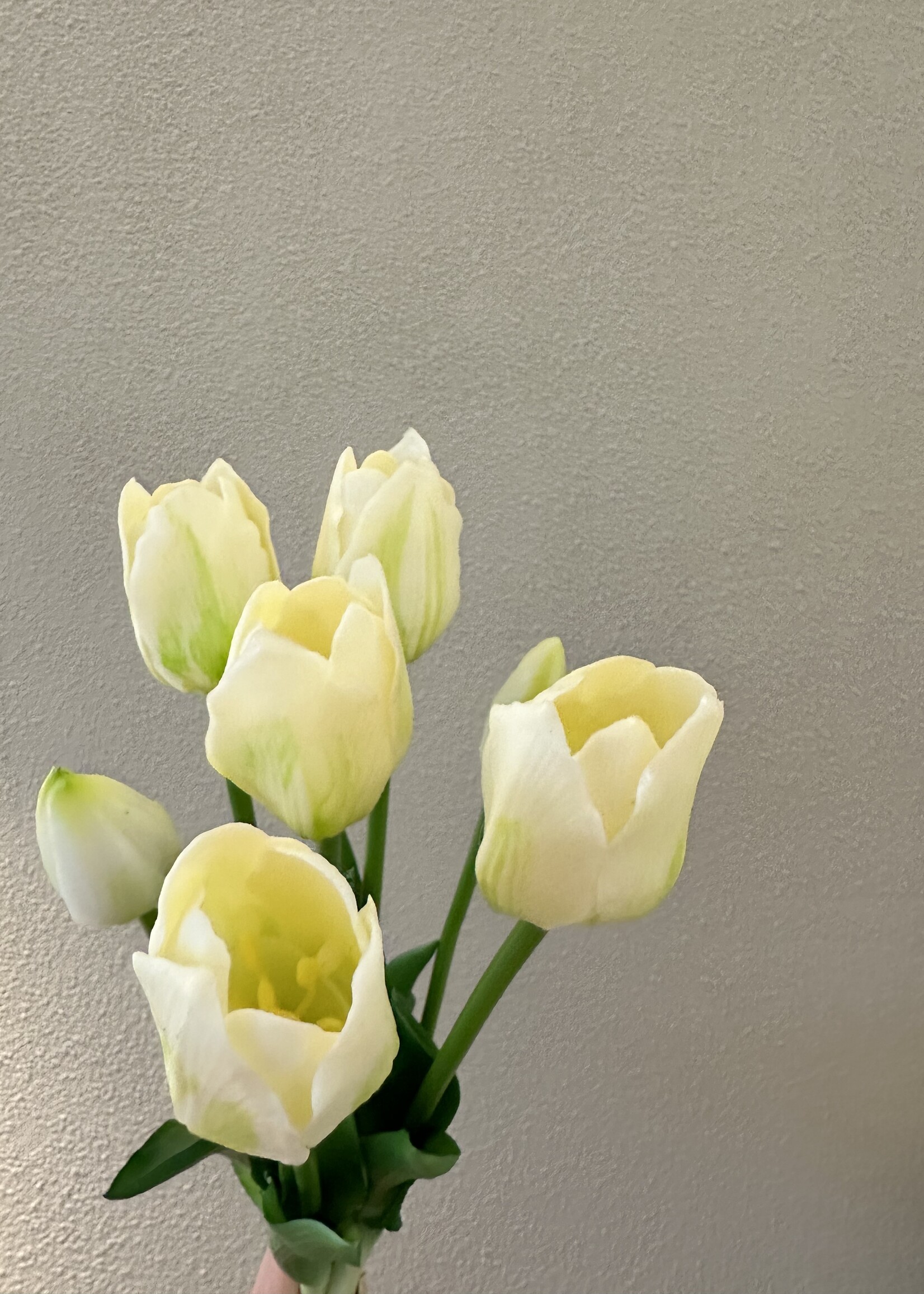 Tulpen Boeket Wit-creme