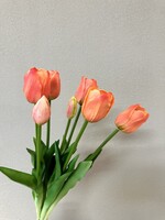 Tulpen bosje van 7  in de kleur Peach