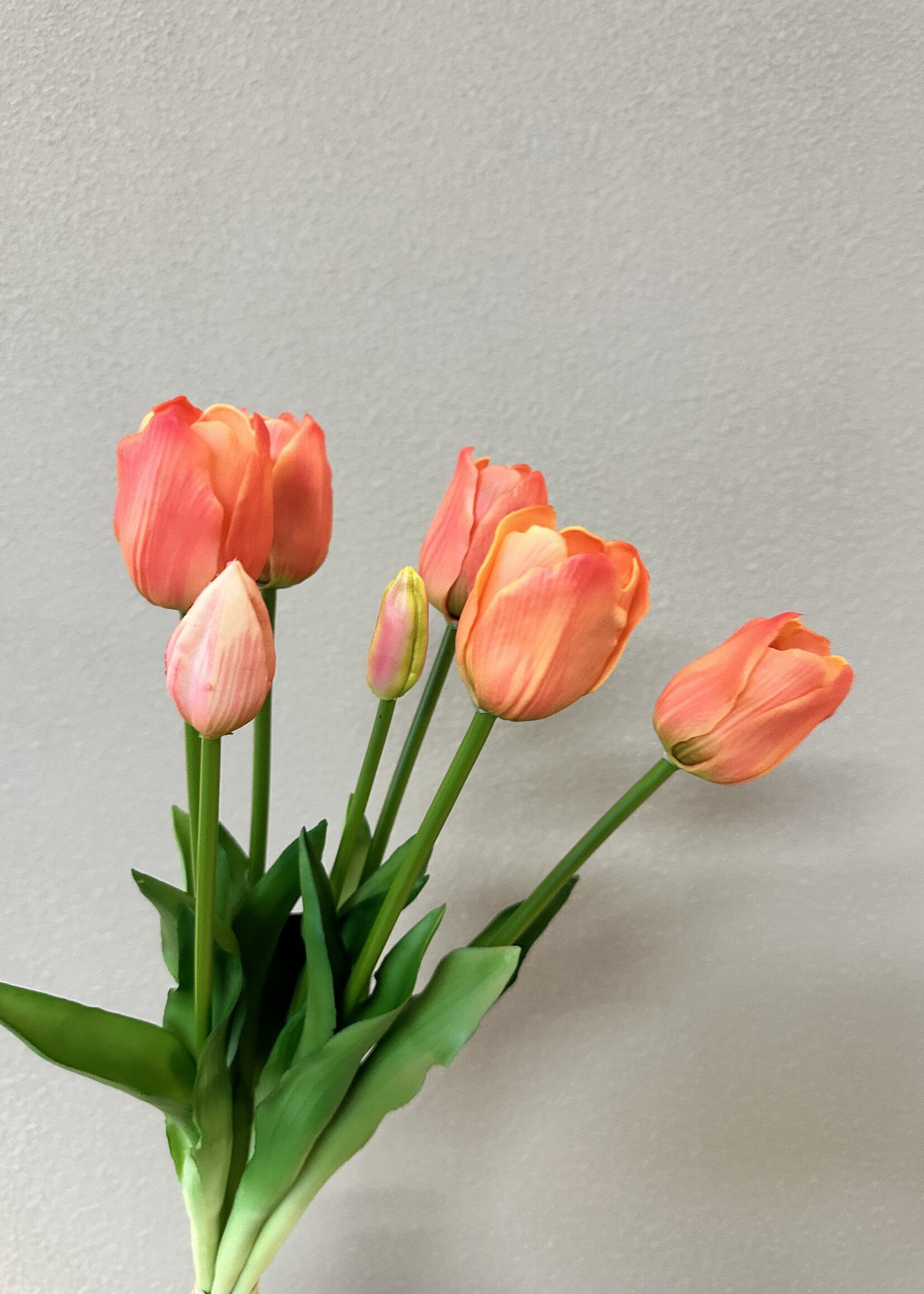 Tulpen bosje van 7 in de kleur Perzik
