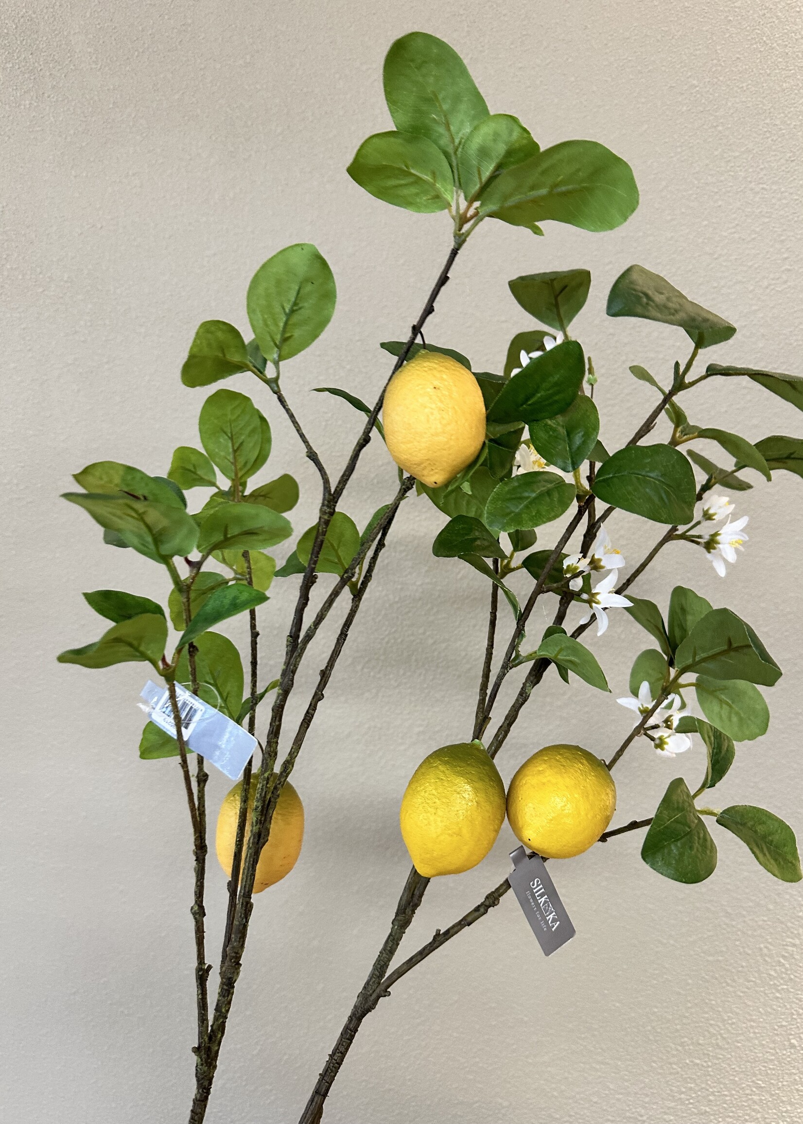 Citroentak met 2 citroenen en blad