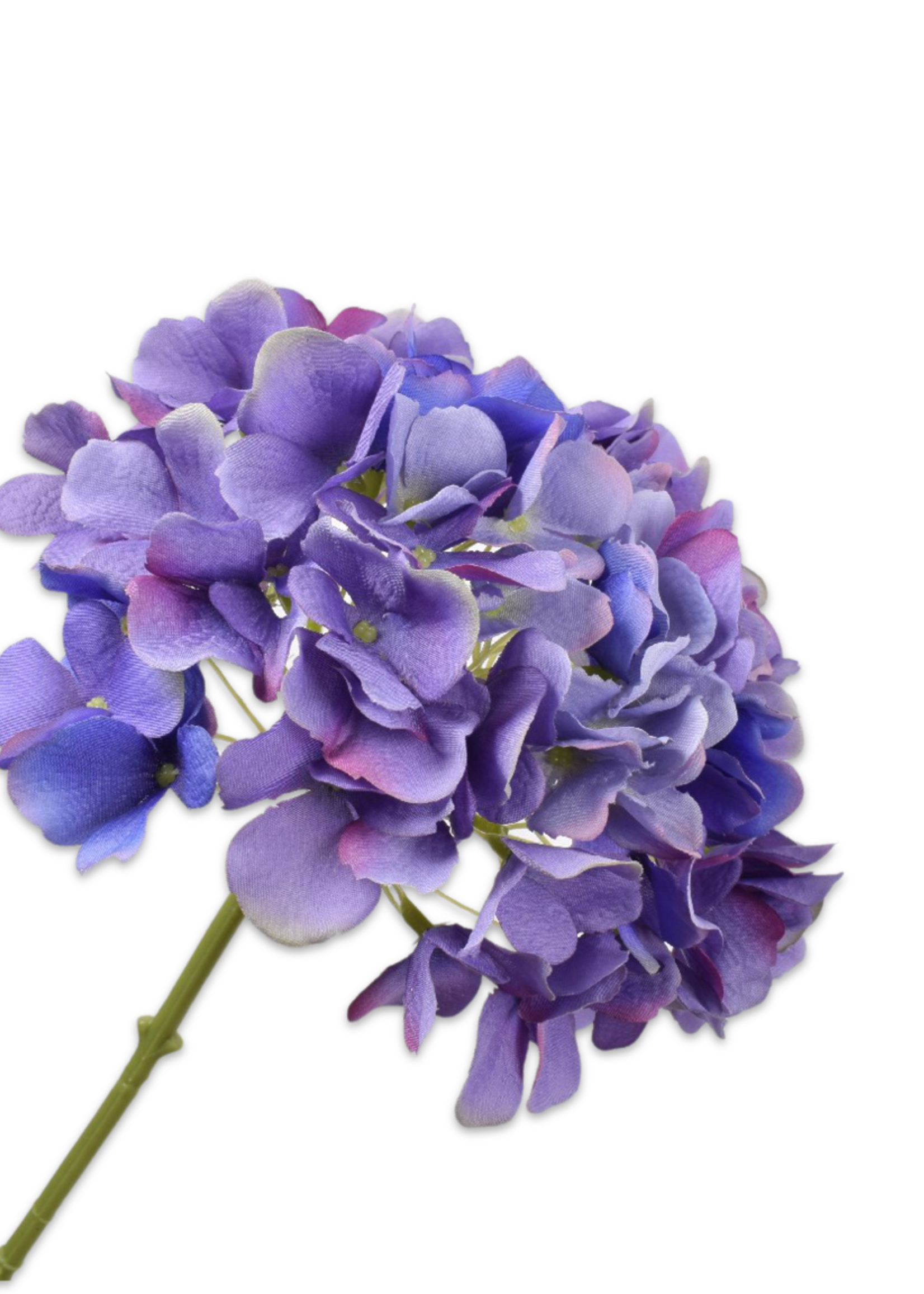 Silk-ka Hortensia tak, blauw - paars