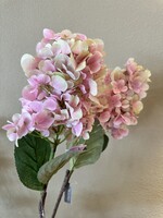 Hortensia Tak  roze/ grn   88 cm