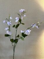 Lathyrus Licht Blauw   86 cm
