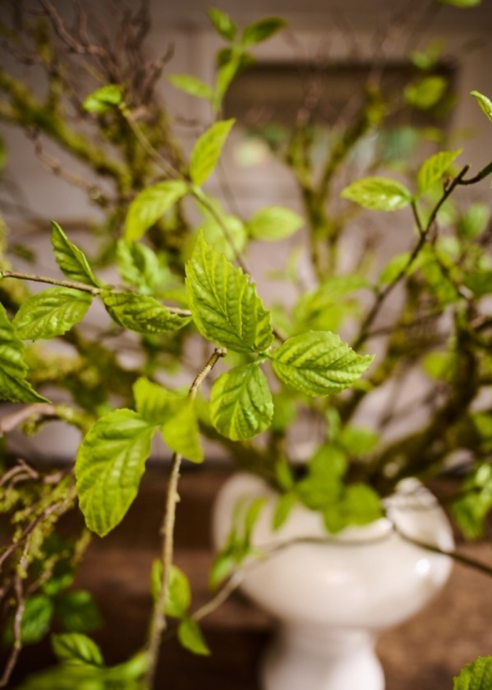 Bladtak green real touch    116 cm