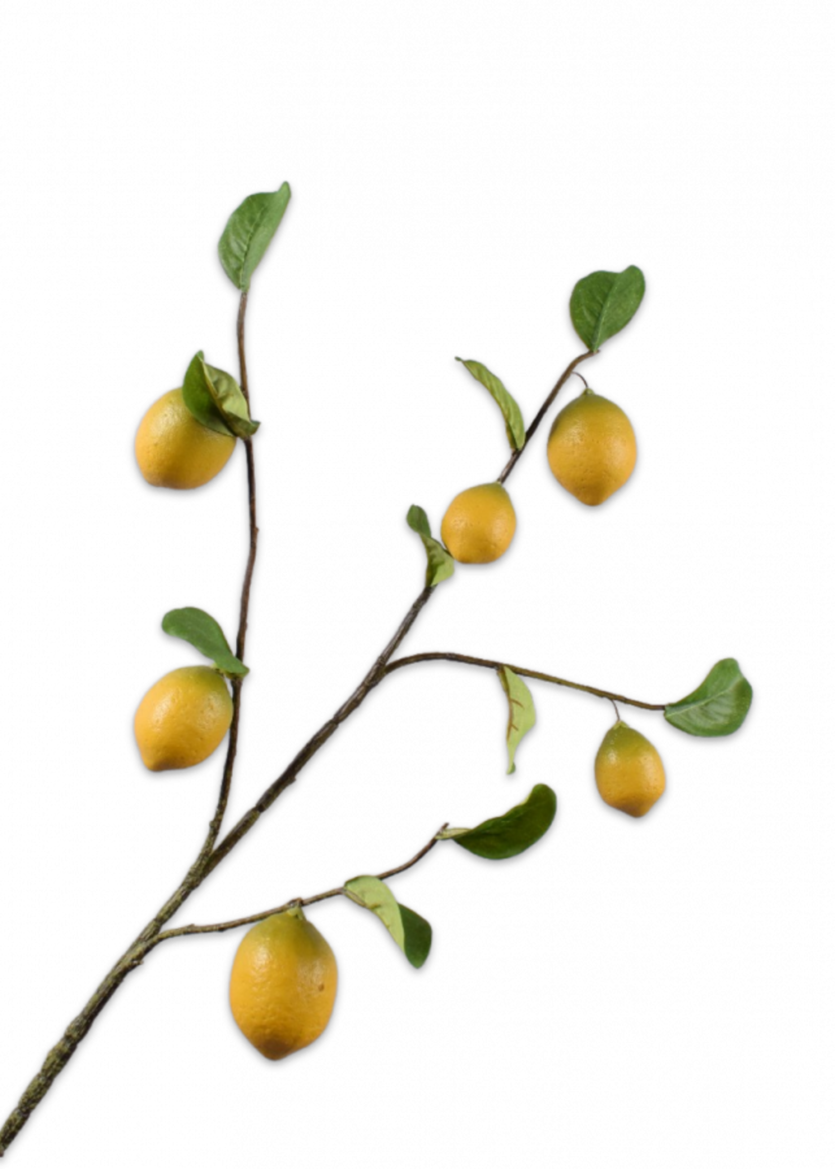 Silk-ka Fruittak Citroen 98 cm  6  citr./blad