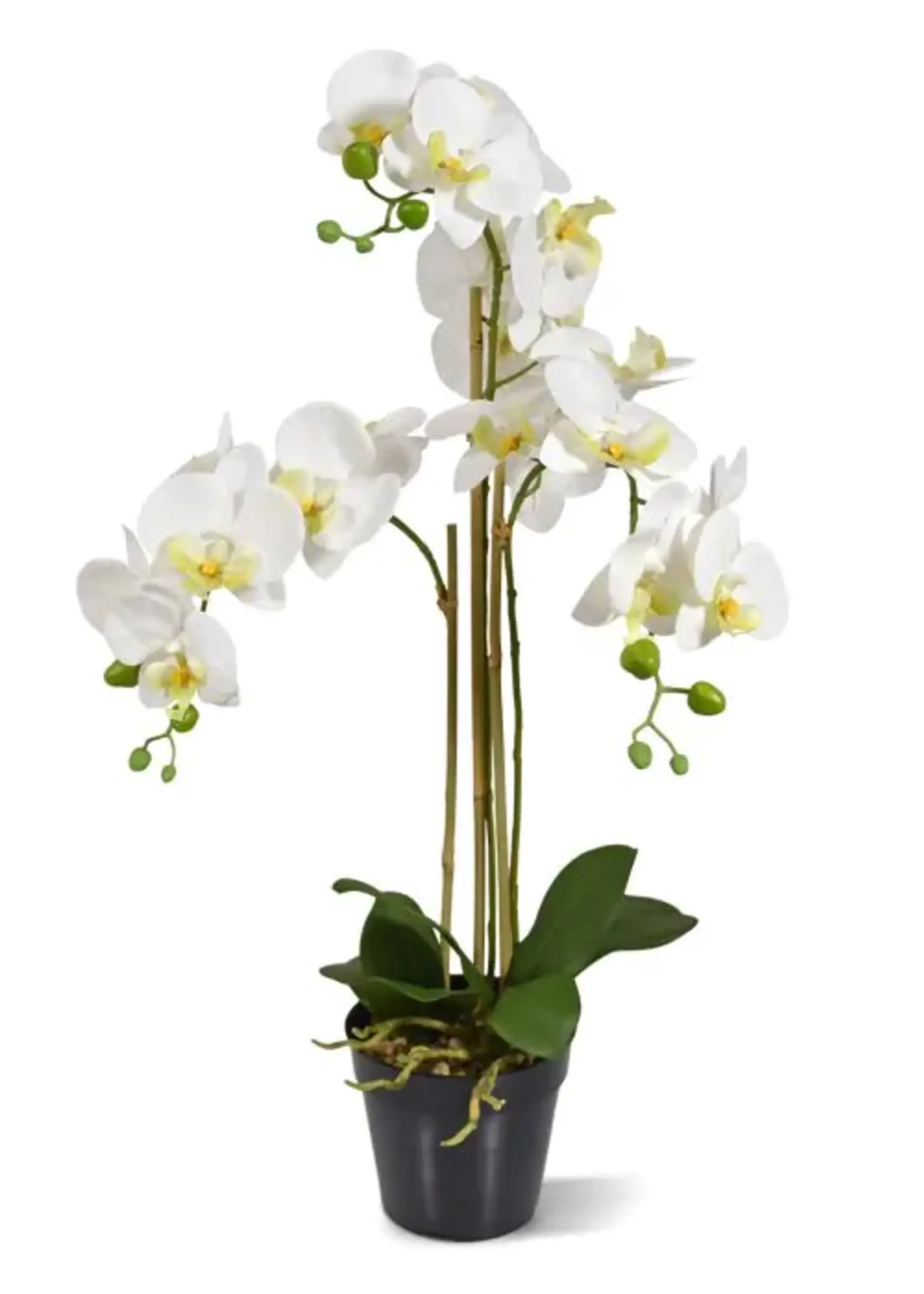 Phalaenopsis kunst Orchidee 75cm wit
